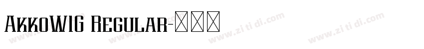 AkkoW1G Regular字体转换 AkkoW1G Regular字体转换